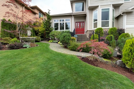 DIY vs. Professional Lawn Care in Gwinnett & Hall Counties
