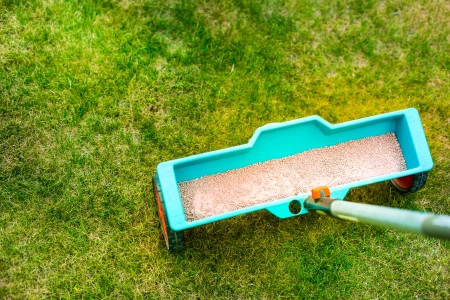 Year-Round Lawn Strength: Seasonal Fertilization Tips Every Homeowner Should Know Thumbnail