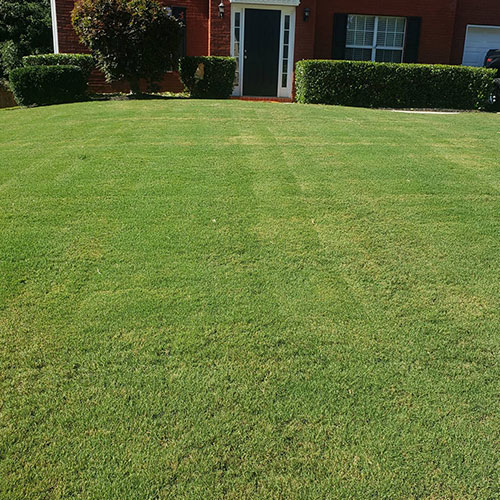 The Importance Of Regular Lawn Mowing Image