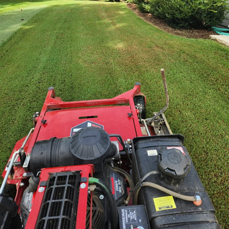 Lawn Mowing