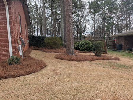 Pinestraw Installation