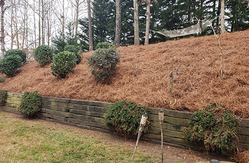 Pinestraw Installation Image