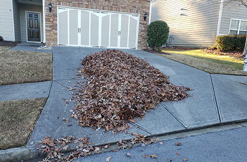 Seasonal Cleanup Image